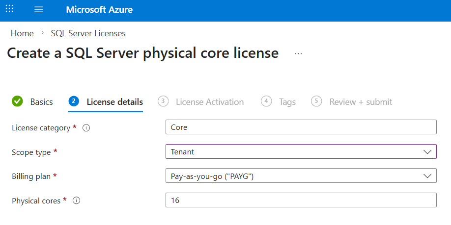 Physical-core (p-core) licenses - LicenseVerse